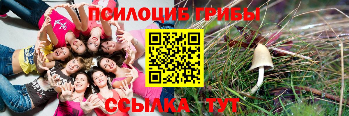 Галлюциногенные грибы мухоморы  Галлюциногенные грибы Psilocybe  Улан-Удэ  Вход с VPN 