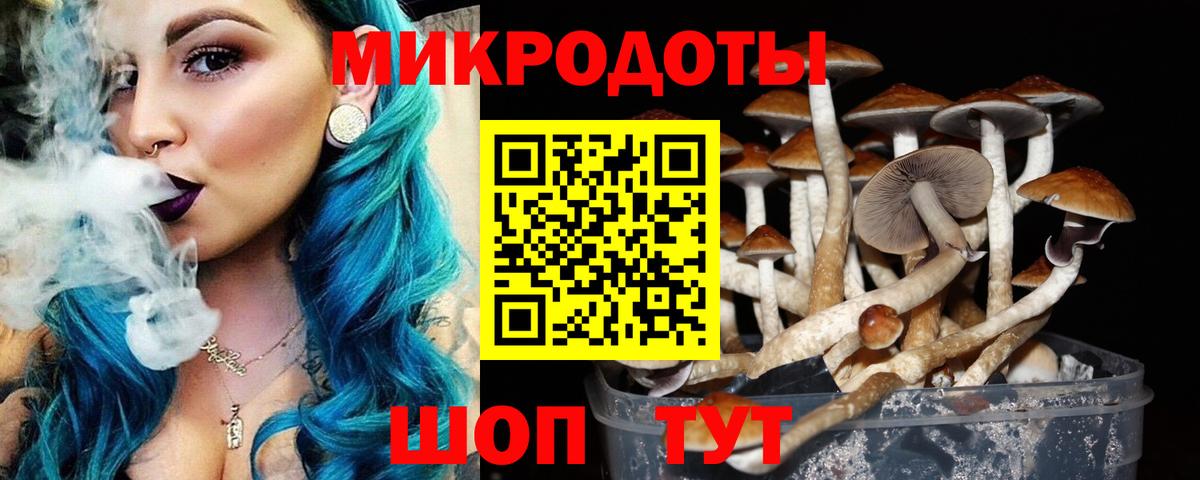 Галлюциногенные грибы прущие грибы Улан-Удэ